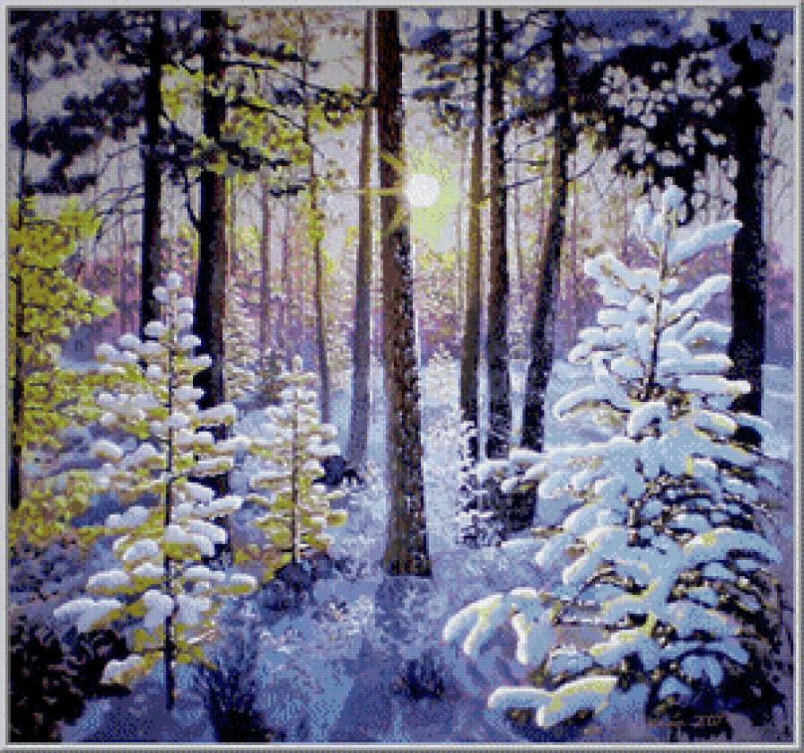 солнечное утро в зимнем лесу - пейзаж, лес, ели, снег, дерево, сугроб, зима, сосна, елки, природа - предпросмотр