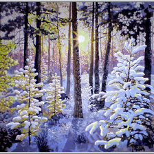 солнечное утро в зимнем лесу