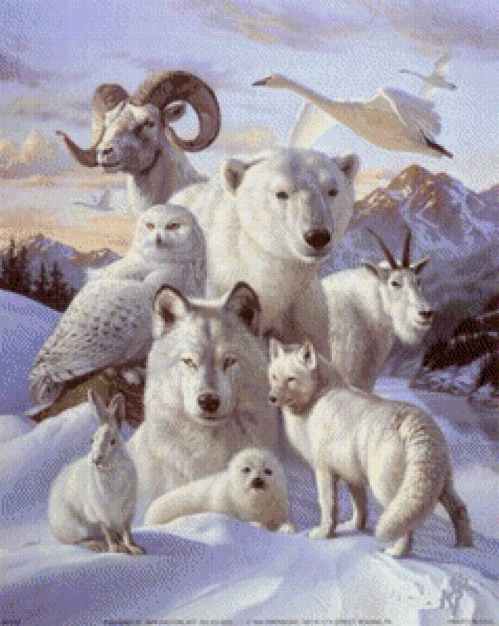 север - гусь, медведь, волк, лис, козел, тюлень, заяц - предпросмотр
