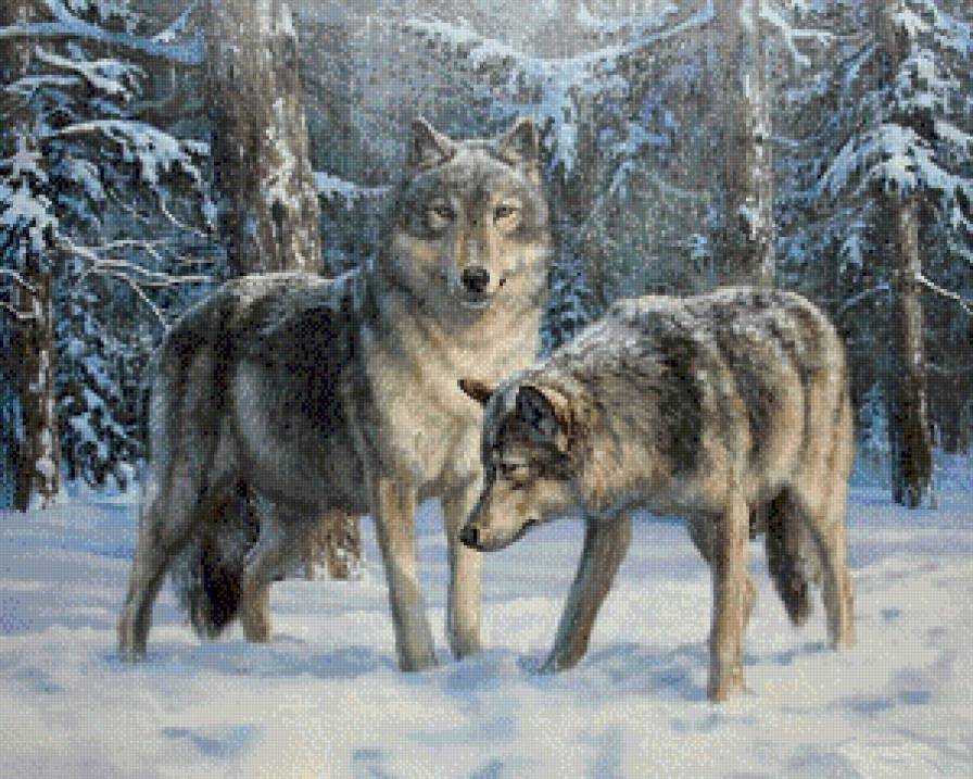 волки - зима, снег, лес, волк - предпросмотр