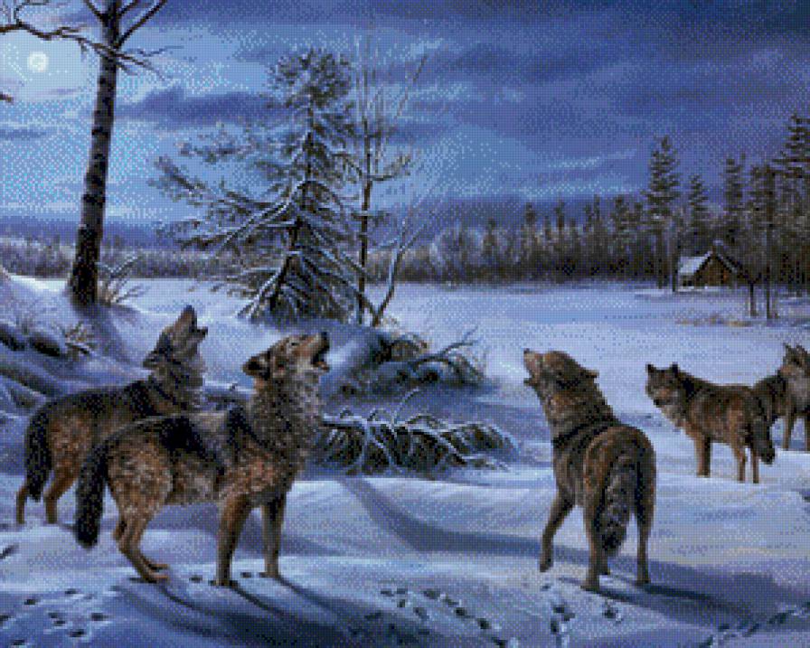 волки - луна, волк, снег, зима - предпросмотр