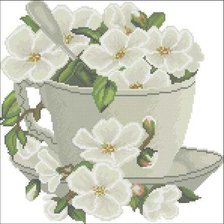 белые цветы в чашке