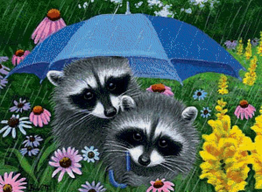 Енотики - цветы, животные, еноты, зонтик, дождь - предпросмотр