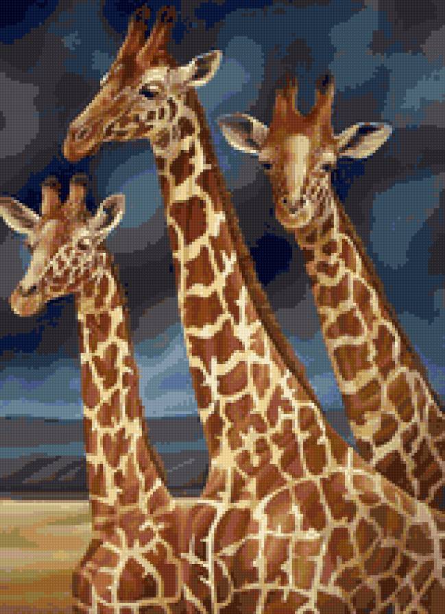 L.REGAN. Жирафы - жирафы, живопись, животные, савана, фауна, африка - предпросмотр