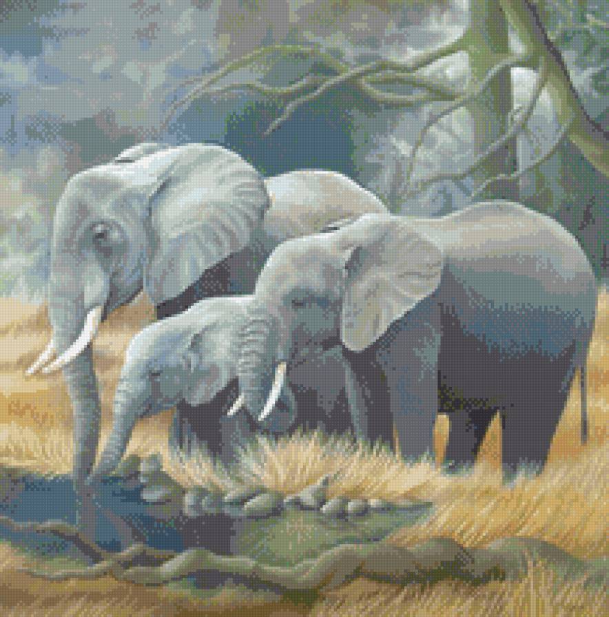 L.REGAN. Слоны - животные, живопись, африка, савана, слоны, фауна - предпросмотр