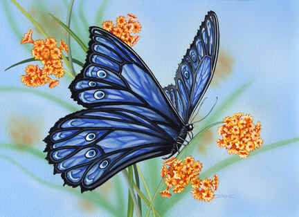 Серия "Бабочки" - цветы, бабочки - оригинал