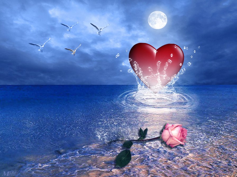 Сердце и роза - любовь, море, роза, сердце, чайки - оригинал