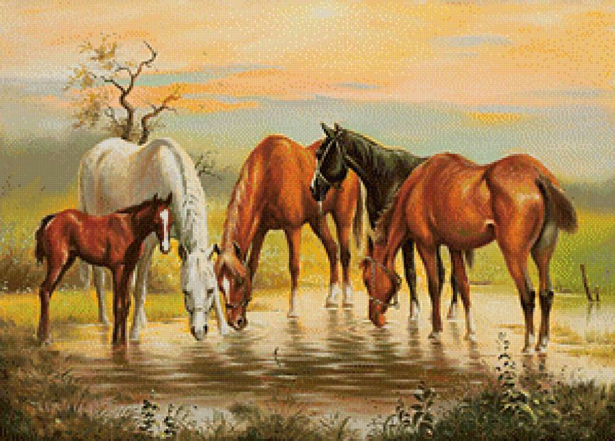 кони у воды - предпросмотр