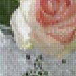Предпросмотр схемы вышивки «розы дмс» (№576865)