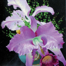 Оригинал схемы вышивки «орхидея» (№576962)