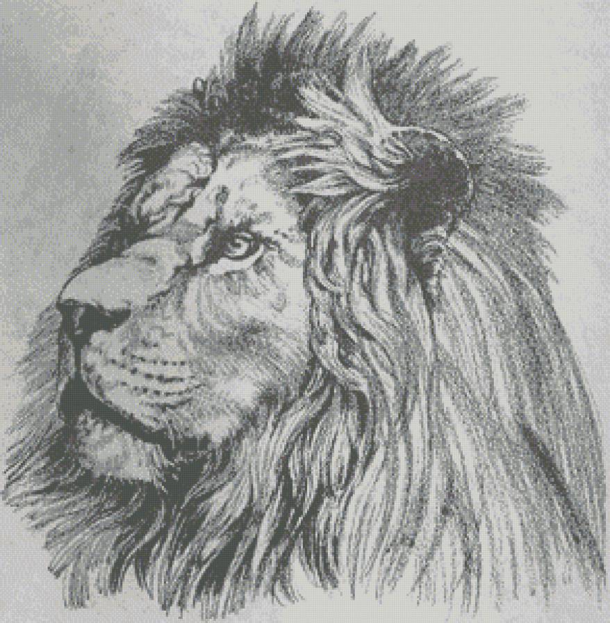 Царь зверей - животные, звери, лев - предпросмотр