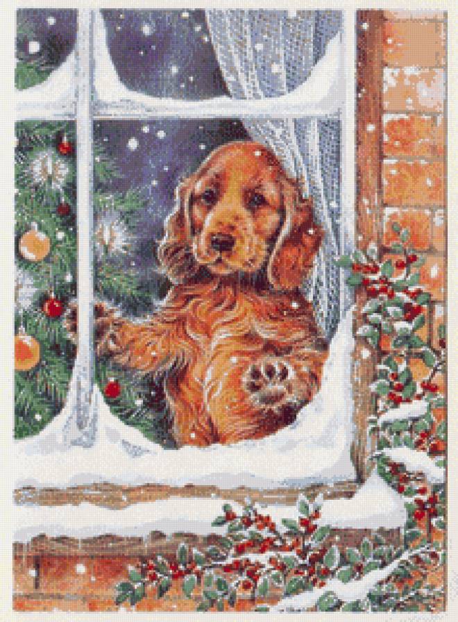 А за окном... - зима, елка, ожидание, собака, праздник.новый год - предпросмотр