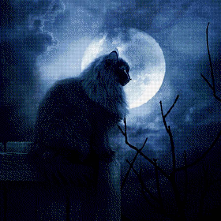 кошка - ночь, луна, кот - предпросмотр