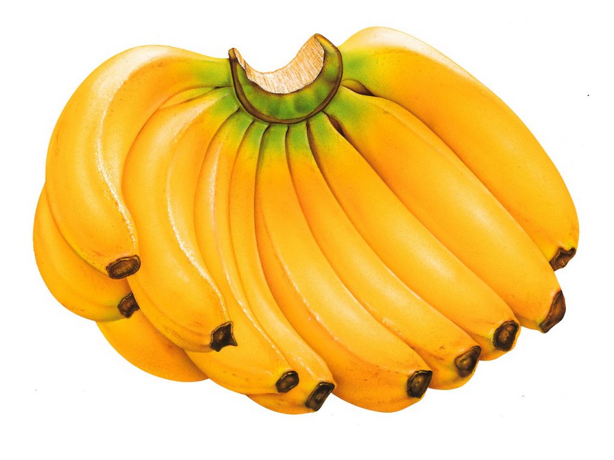 банан - банан, натюрморт - оригинал