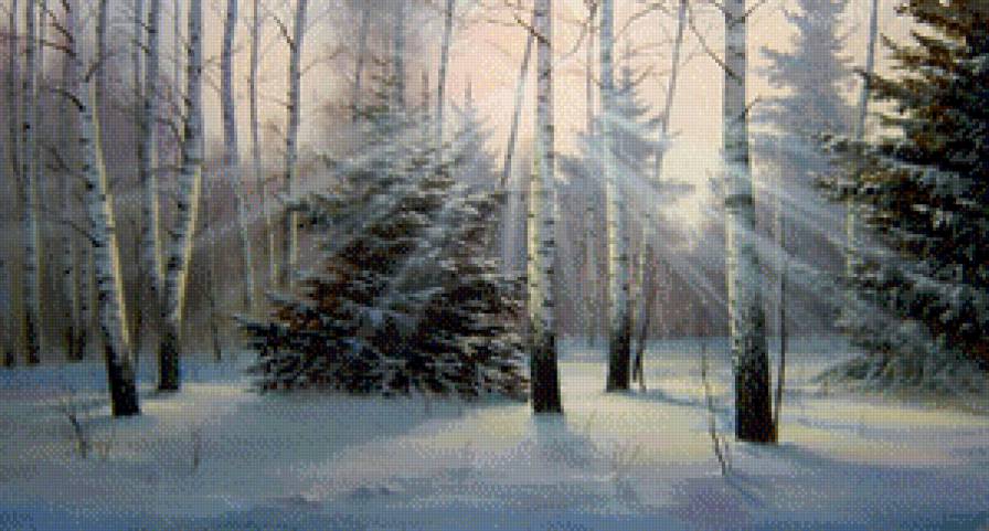 утро в лесу - березы, снег, зима, солнце, лес, пейзаж, утро - предпросмотр