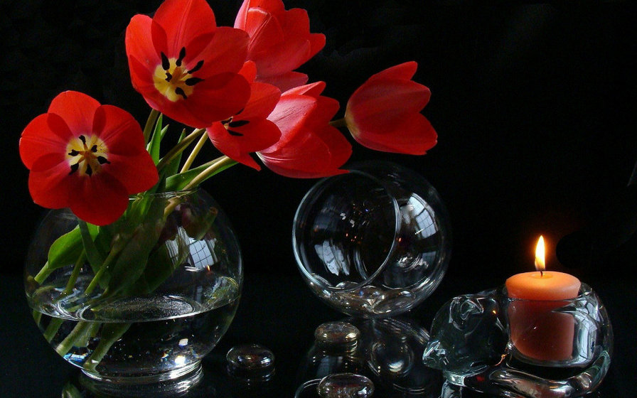 тюльпаны на черном - тюльпаны, цветы, свеча - оригинал
