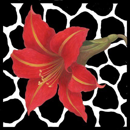Подушка "Амариллис" - цветок, амариллис, подушки, узоры, цветы, подушка - оригинал