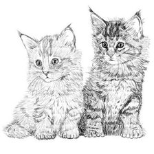Схема вышивки «два котенка»