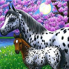 Красавицы-лошадки