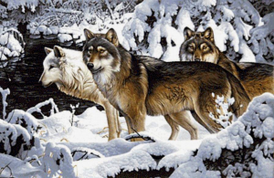 Волки - зима, лес, пейзаж, волки, животные - предпросмотр