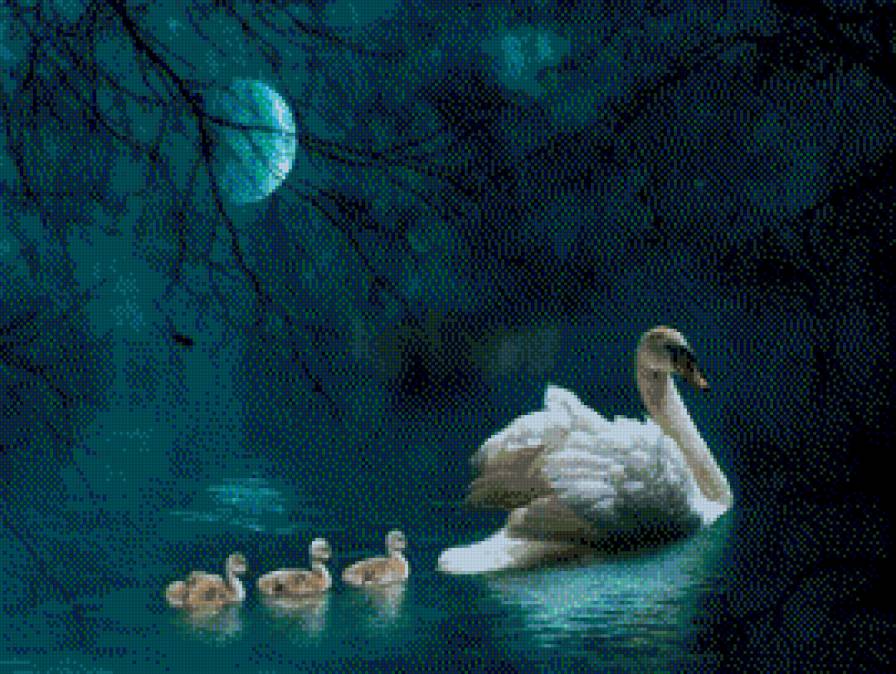 ночная прогулка - луна, ночь, вода, лебеди - предпросмотр