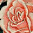 Предпросмотр схемы вышивки «розы» (№579769)