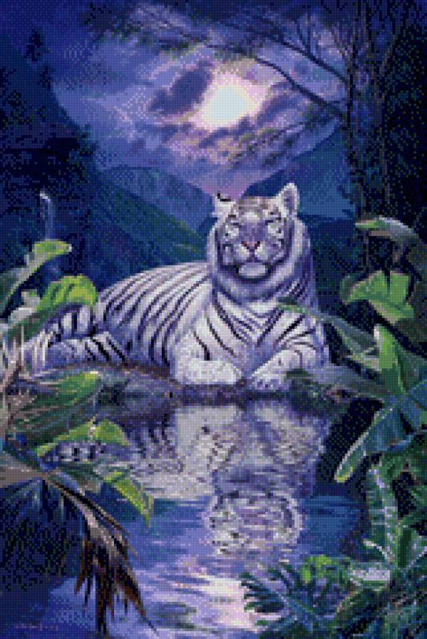 тигр - ночь, тигр, деревья, вода - предпросмотр