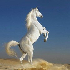 Оригинал схемы вышивки «белый конь» (№579896)