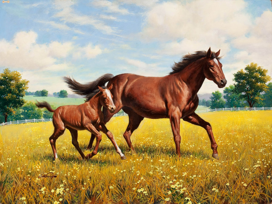 Лошадки - животные - оригинал