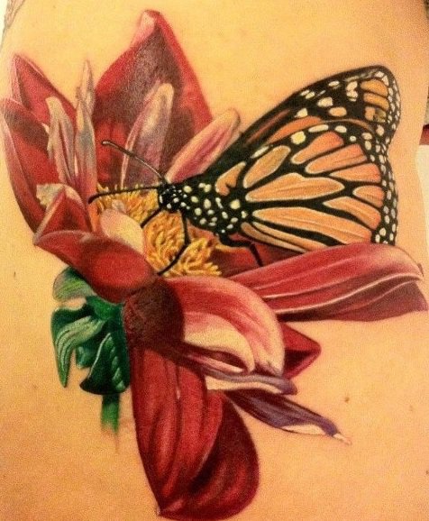 Бабочка на цветке - цветы, бабочки - оригинал