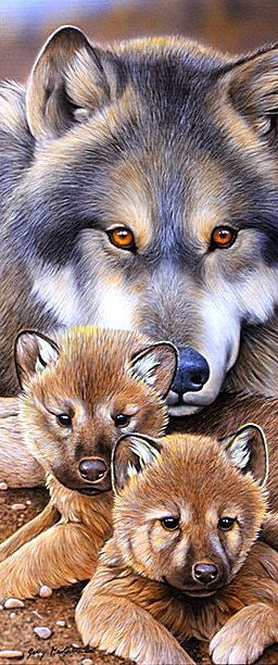 Волчица - волчата, животные, волки - оригинал