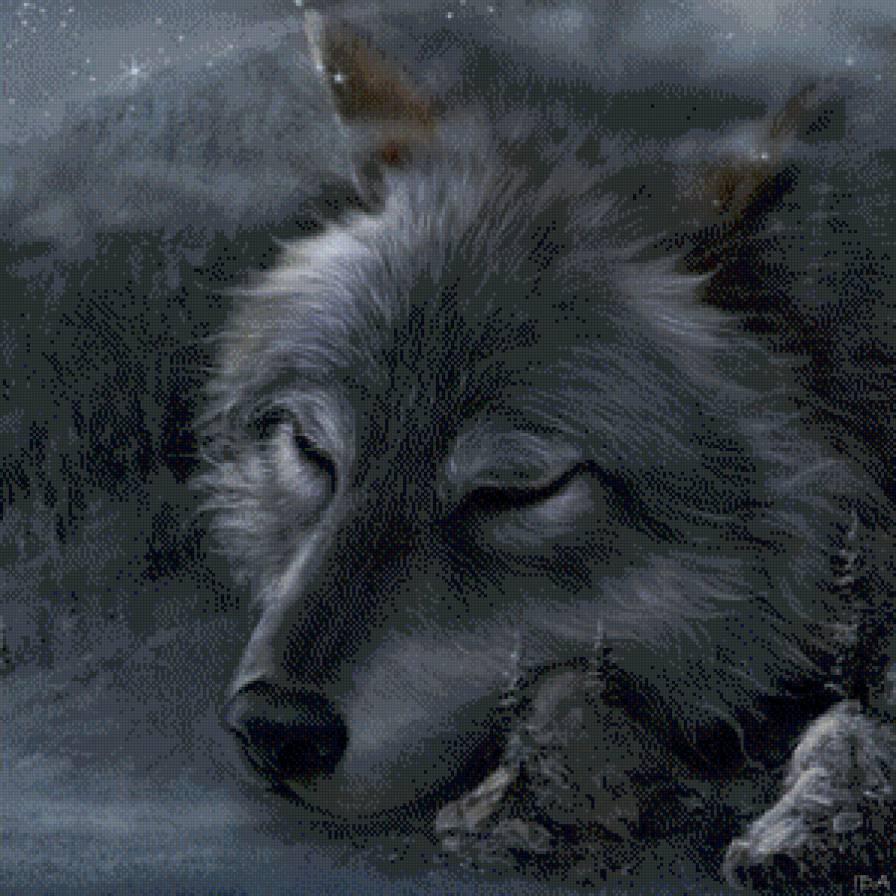 Волк - волки, животные - предпросмотр