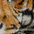 Предпросмотр схемы вышивки «Тигр» (№581504)