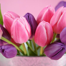Схема вышивки «Сиренево-розовые тюльпаны»