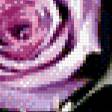 Предпросмотр схемы вышивки «розы» (№581887)