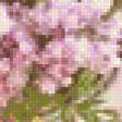 Предпросмотр схемы вышивки «цветы» (№581939)
