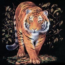 Оригинал схемы вышивки «тигр» (№582025)