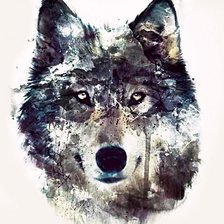 Оригинал схемы вышивки «Волк» (№582740)