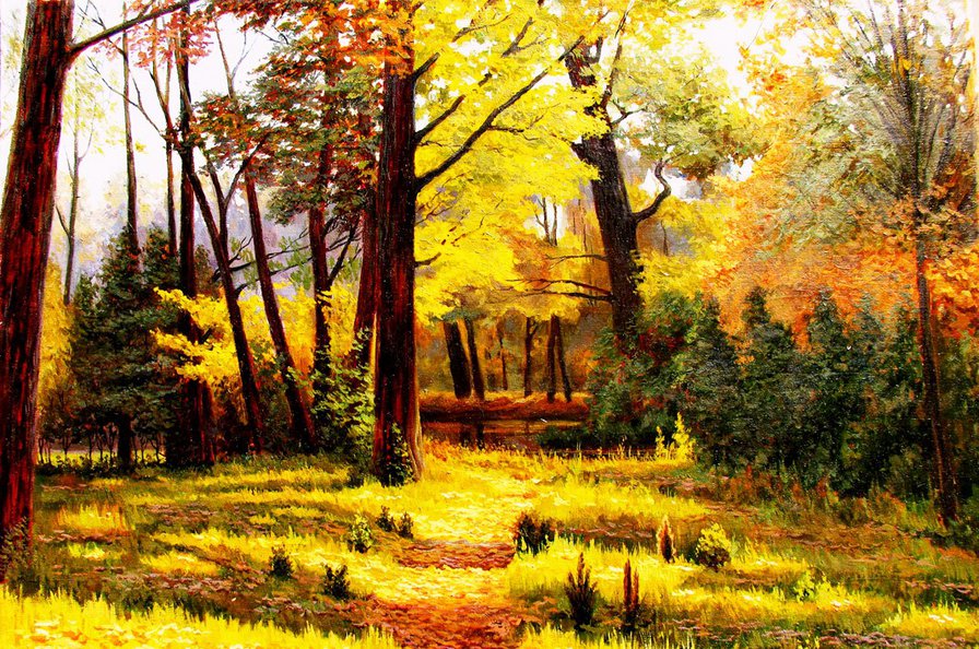осень в лесу - осень, лес, пейзаж - оригинал
