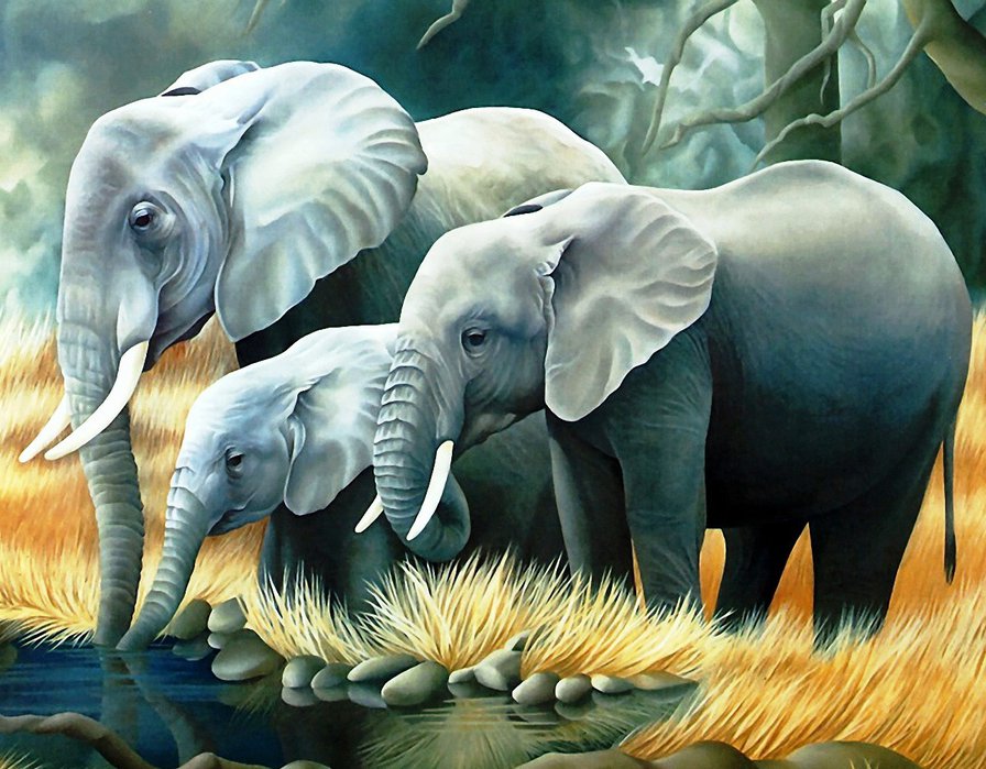 слоны - африка, животные, природа - оригинал
