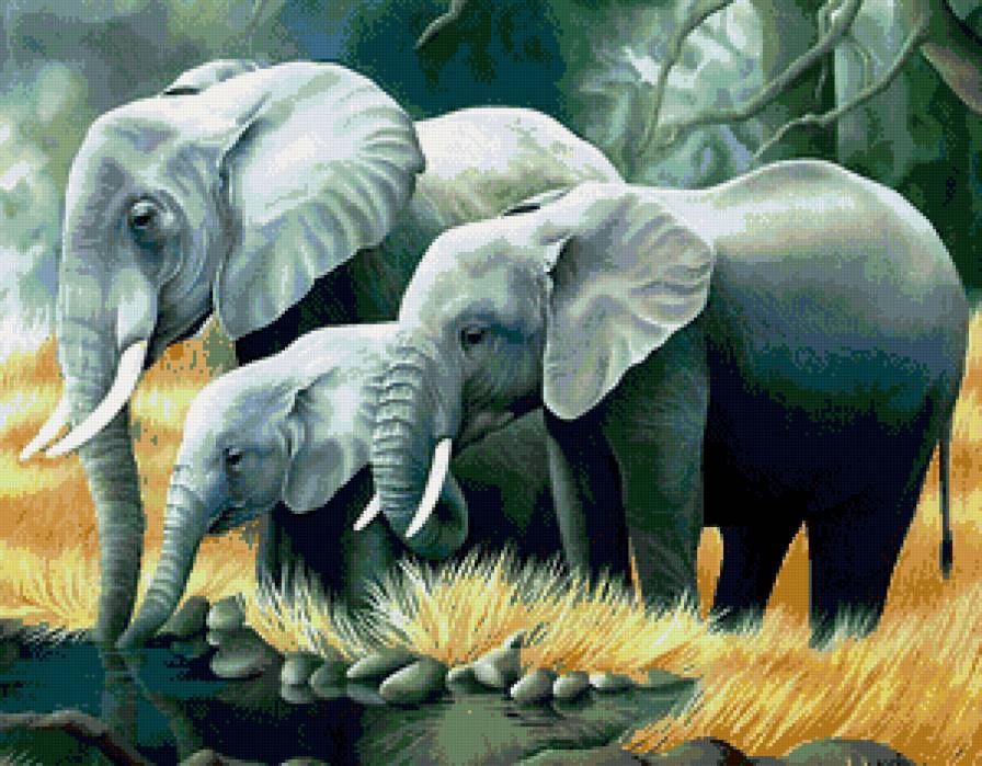 слоны - животные, африка, природа - предпросмотр