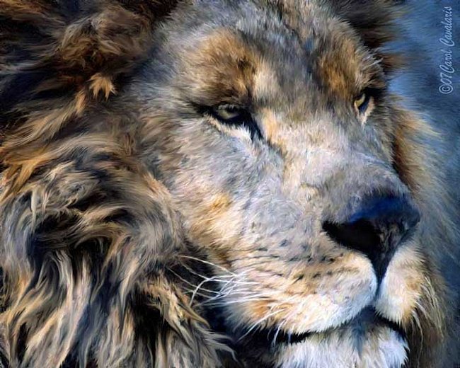 царь зверей - лев, зверь - оригинал