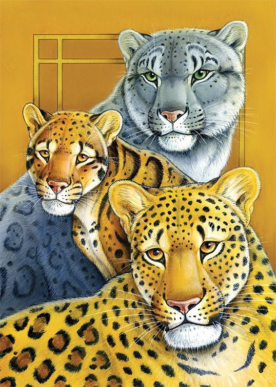 животные планеты - ягуар, леопард, пума, хищник - оригинал