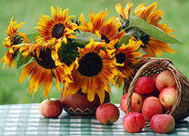 ПОДСОЛНУХИ - натюрморт, цветы.фрукты, лето.подсолнухи, вазы - оригинал