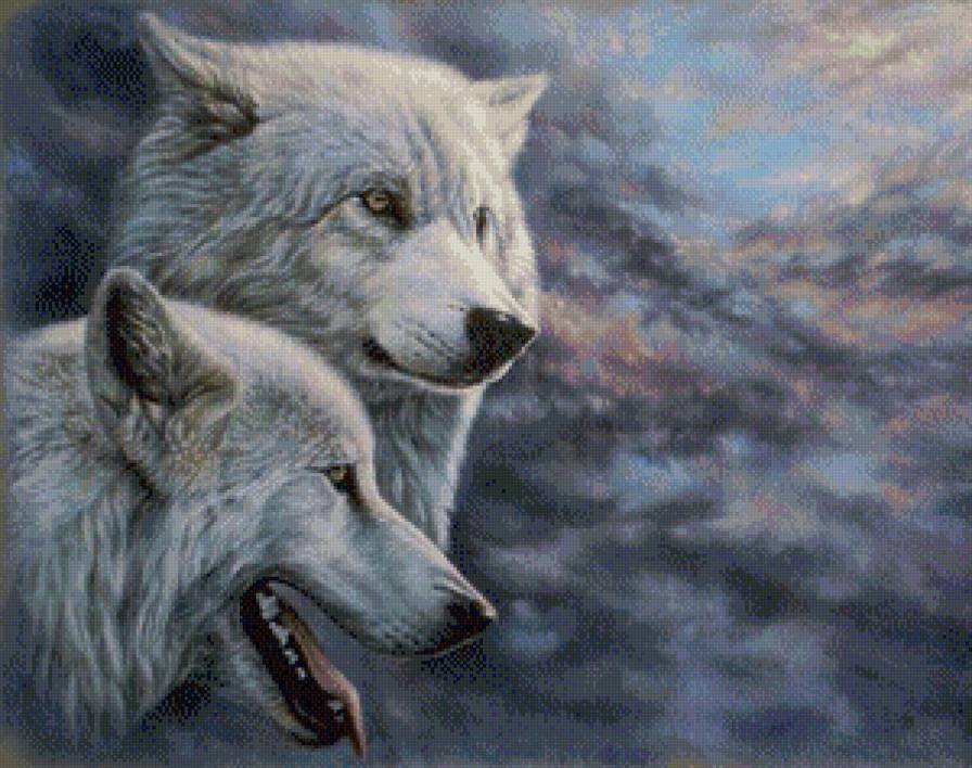 Волки - животные, волк - предпросмотр