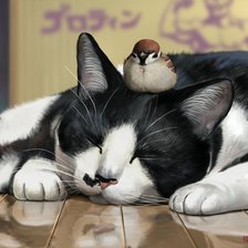 Схема вышивки «Кот с птичкой»