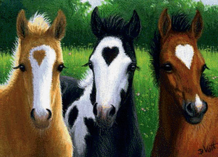 Красавицы-лошадки - лошади, животные - предпросмотр