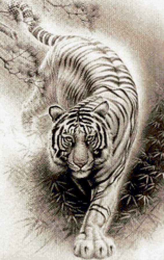 тигр - тигр, животное - оригинал