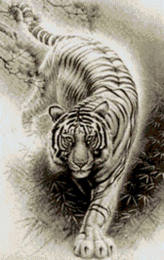 тигр - тигр, животное - предпросмотр