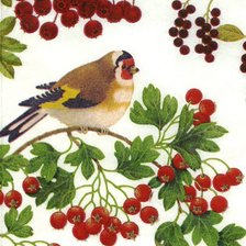 Птичка с ягодками